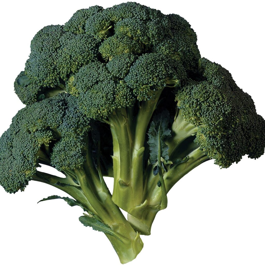 broccoli001