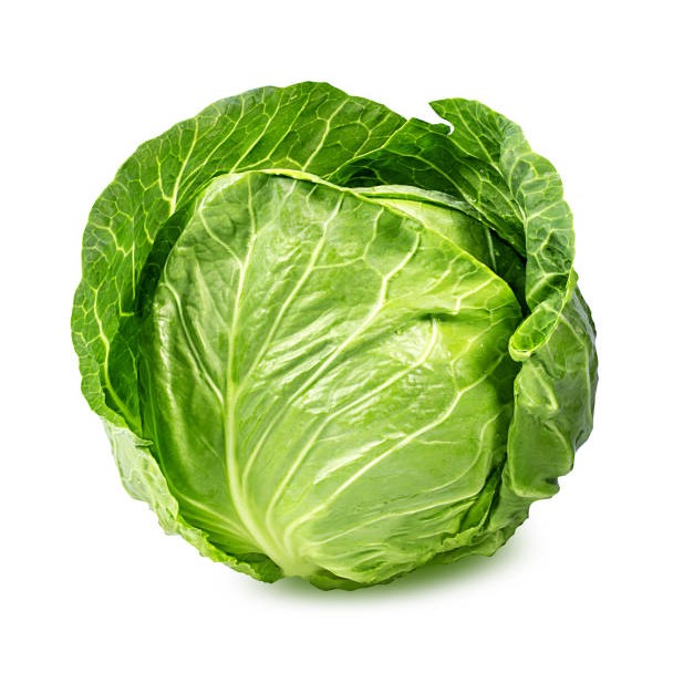 cabbage001