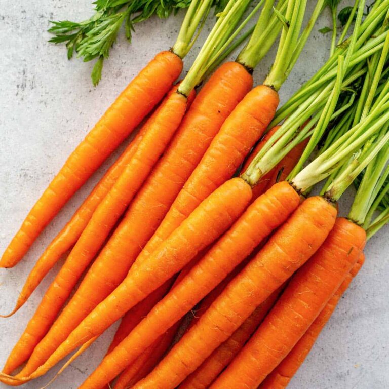 carrot001