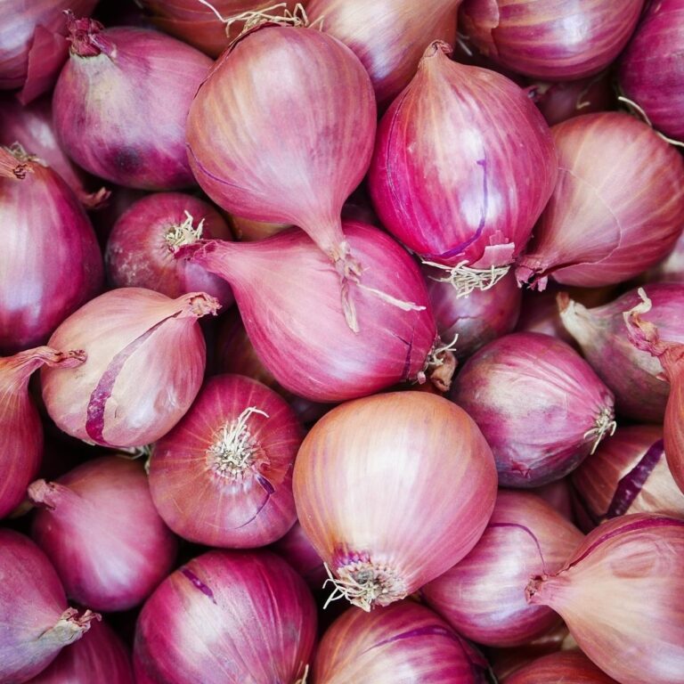 onion001