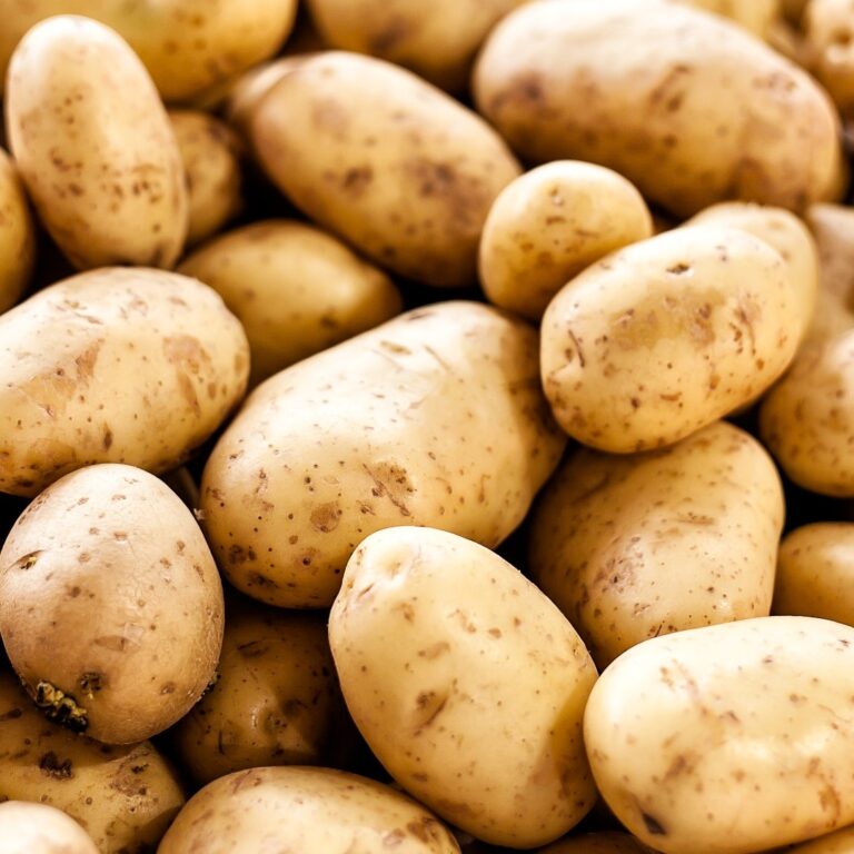 potato002